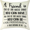 A Friend Is One Of The Nicest Things You Can Have Pillow - Unique Pillows - Send A Hug
